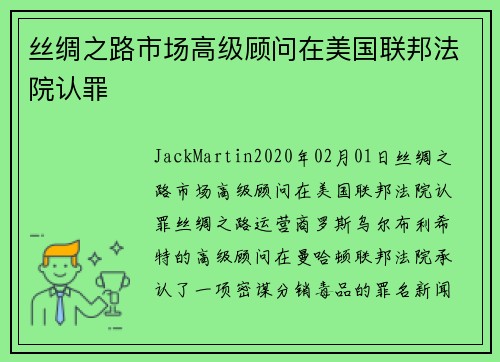 丝绸之路市场高级顾问在美国联邦法院认罪